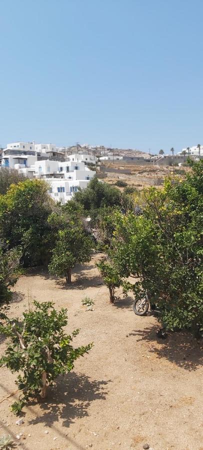 Demis Mykonos Stay 2 Platys Gialos  Luaran gambar